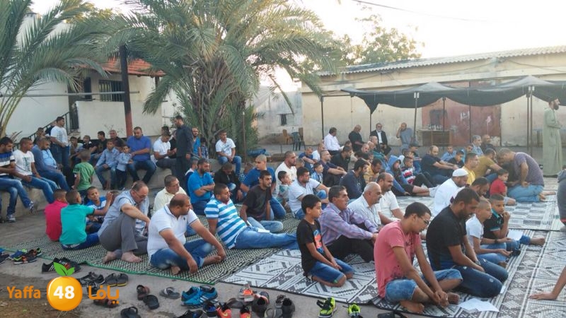 dahmash e33ed (3).JPG